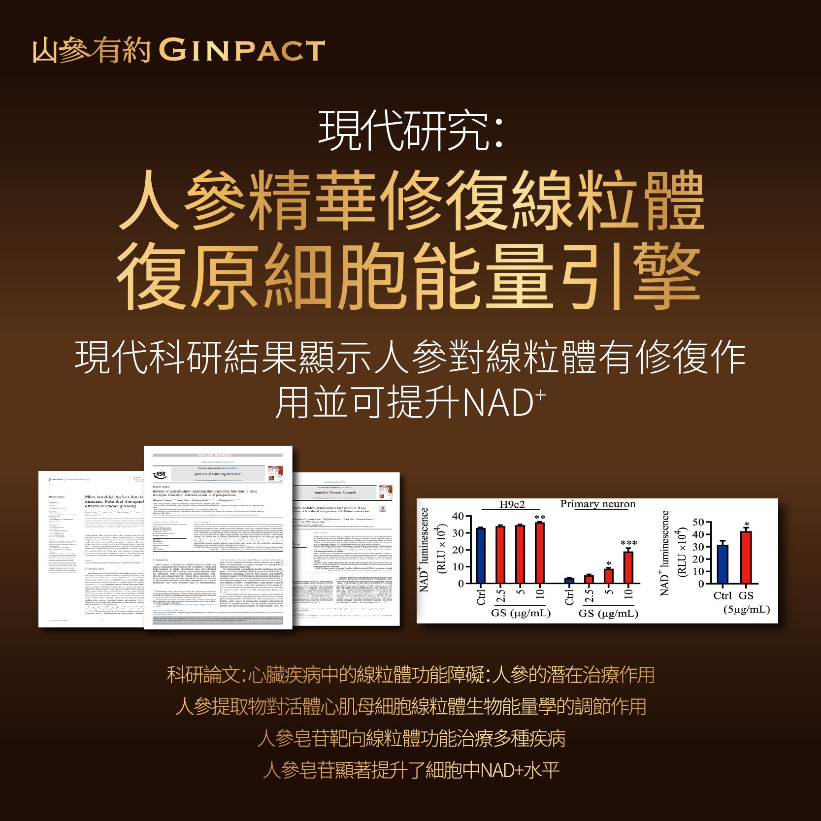 珍稀山參精華（1瓶60粒）