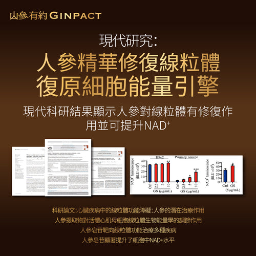 珍稀山參精華（1袋20粒）