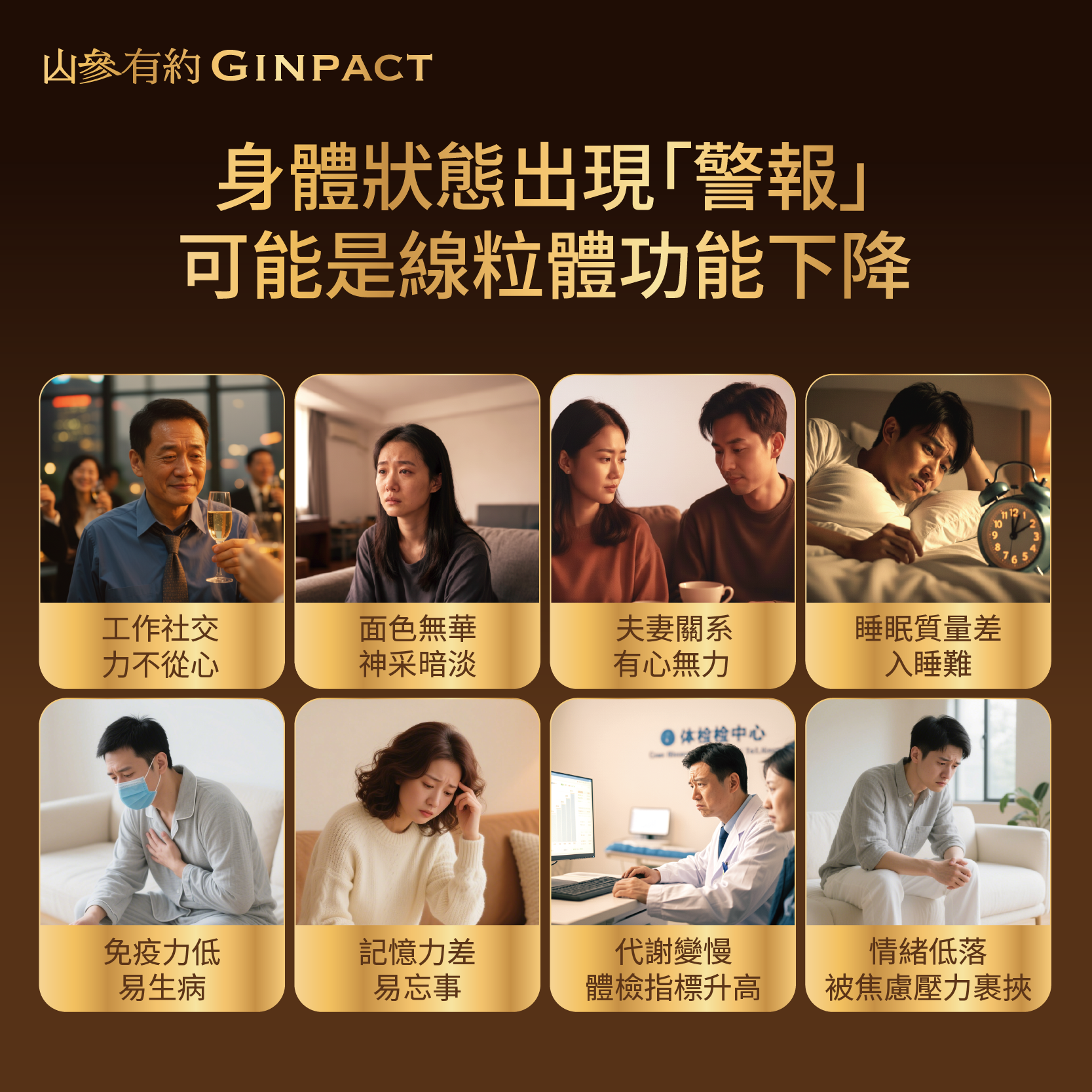 珍稀山參精華（1袋20粒）