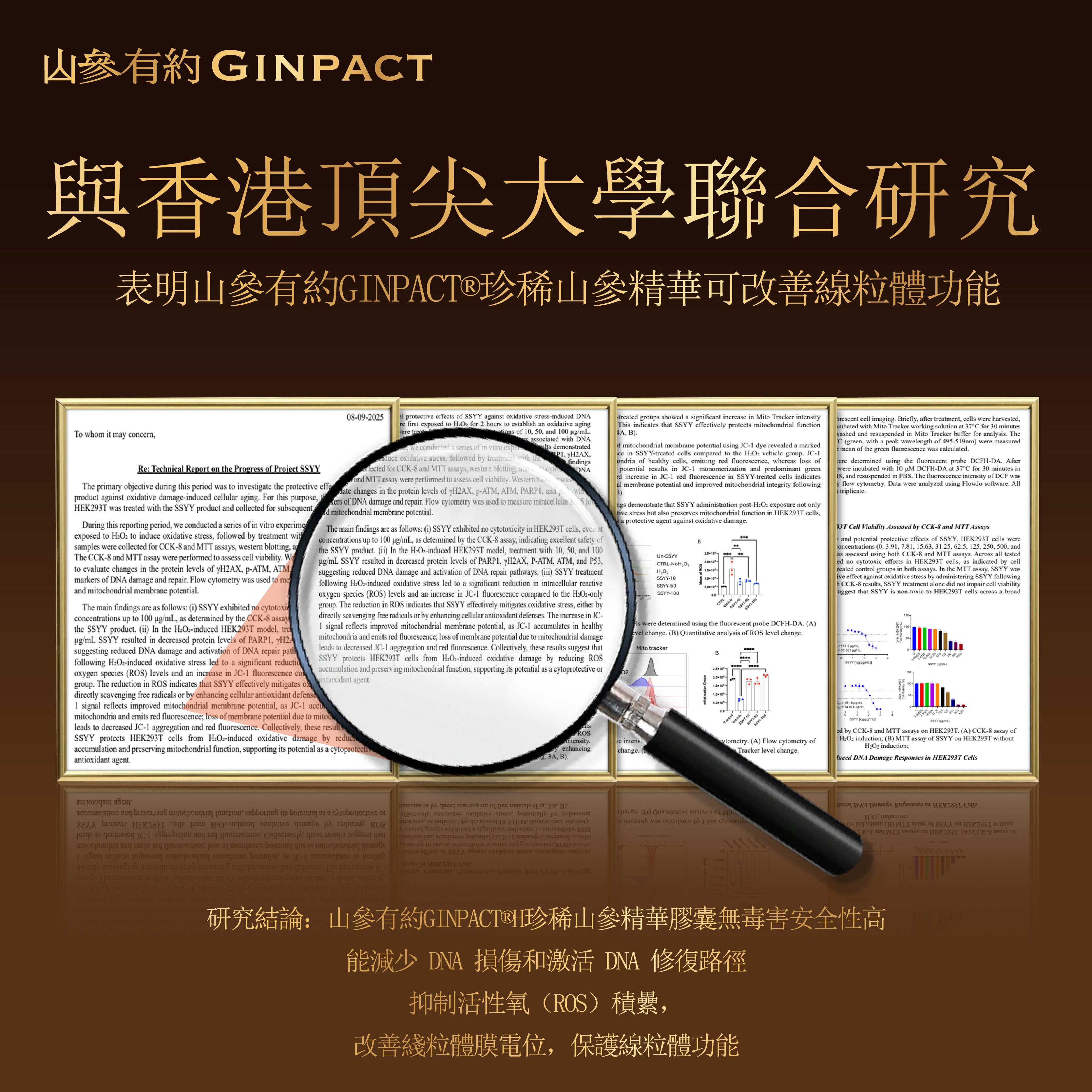 珍稀山參精華（1袋20粒）